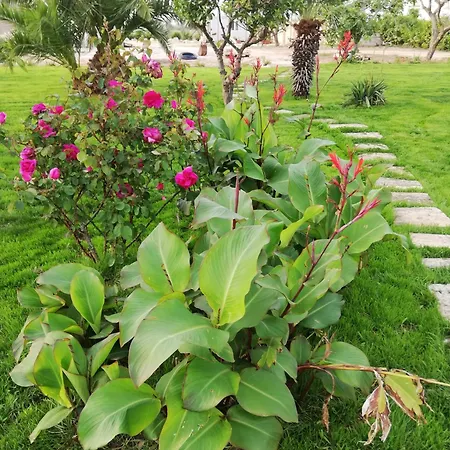 Appartamento Charming In Villaggio Resta, 36 Sqm With Sea View